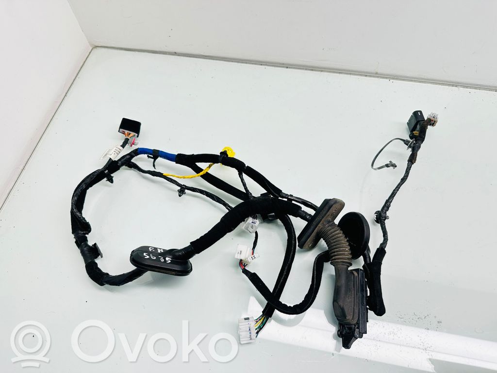 KIA Optima Cableado de puerta delantera 
