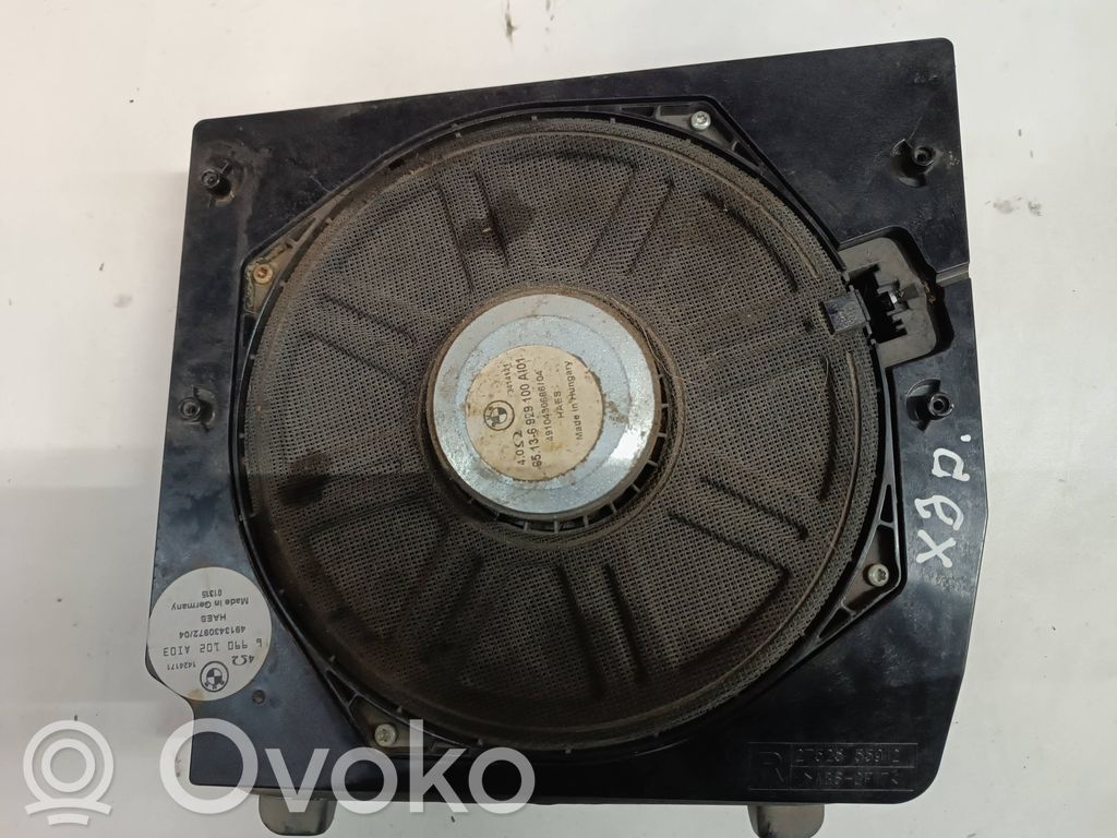 Subwoofer   699010203