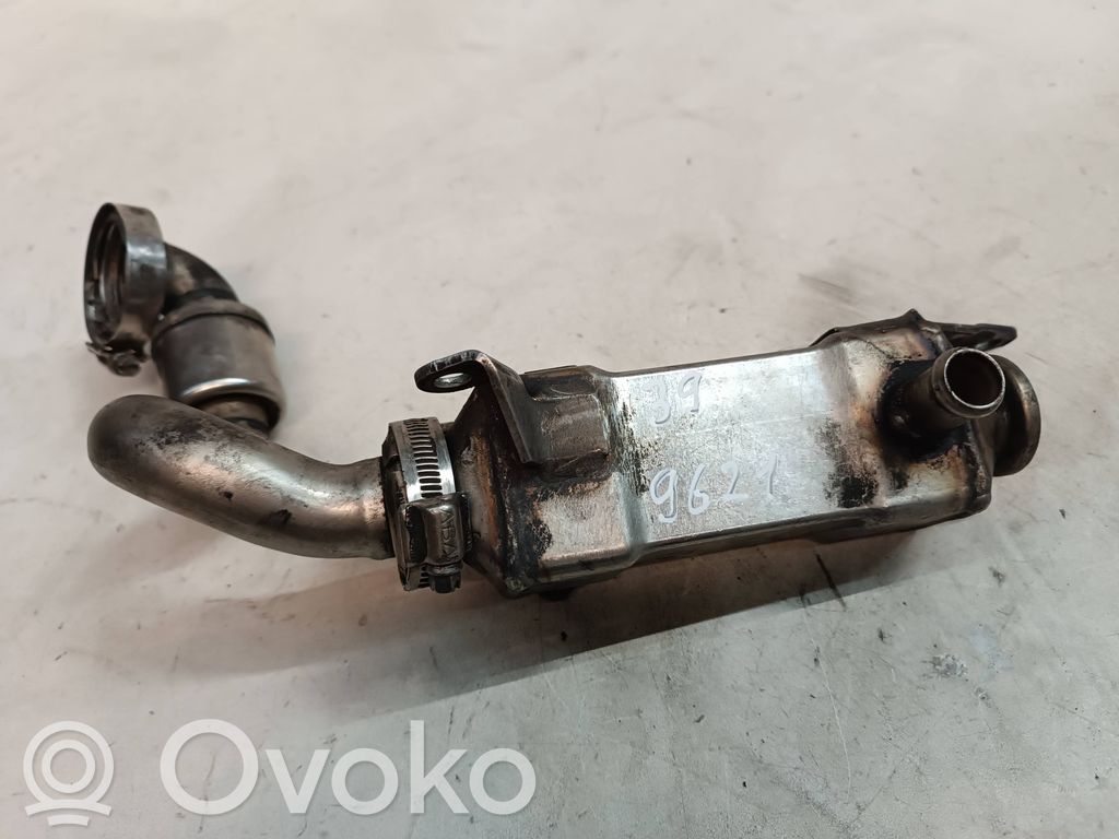 BMW 5 E39 EGR aušintuvas 