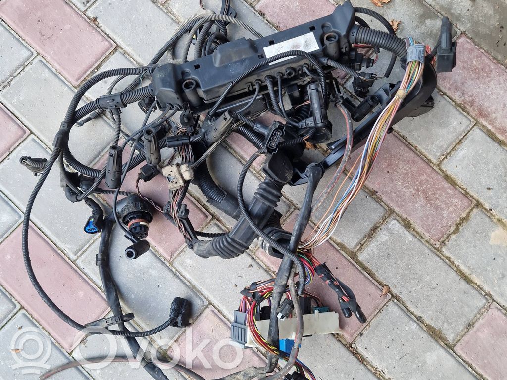 Engine installation wiring loom   779016902,7790169,E5761R