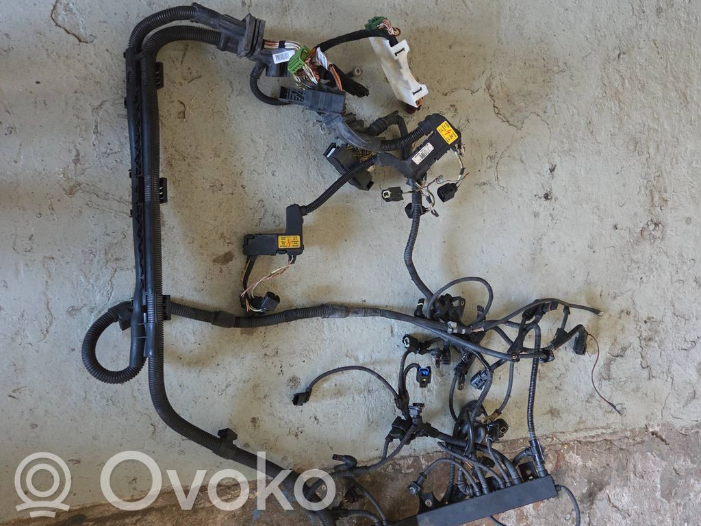 Engine installation wiring loom   7570537,7570533,E2946W1,750047017R