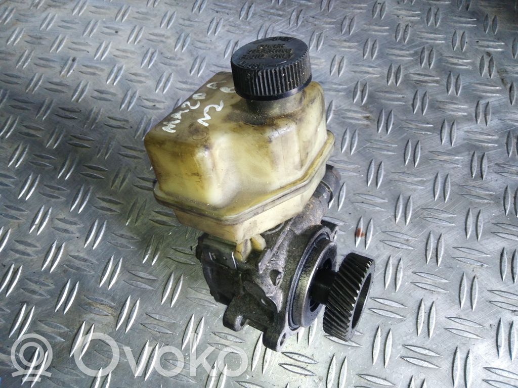 Power steering pump   GR3D