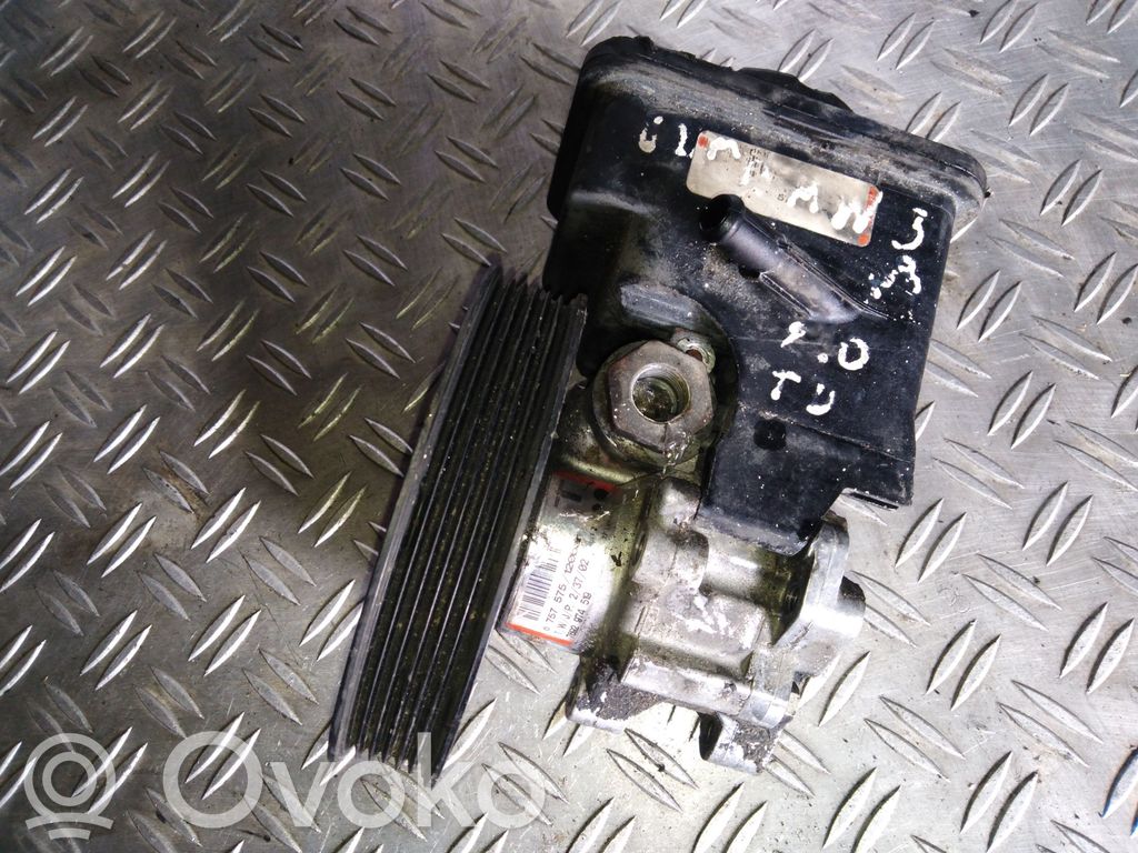 Power steering pump   6757575,7692974519