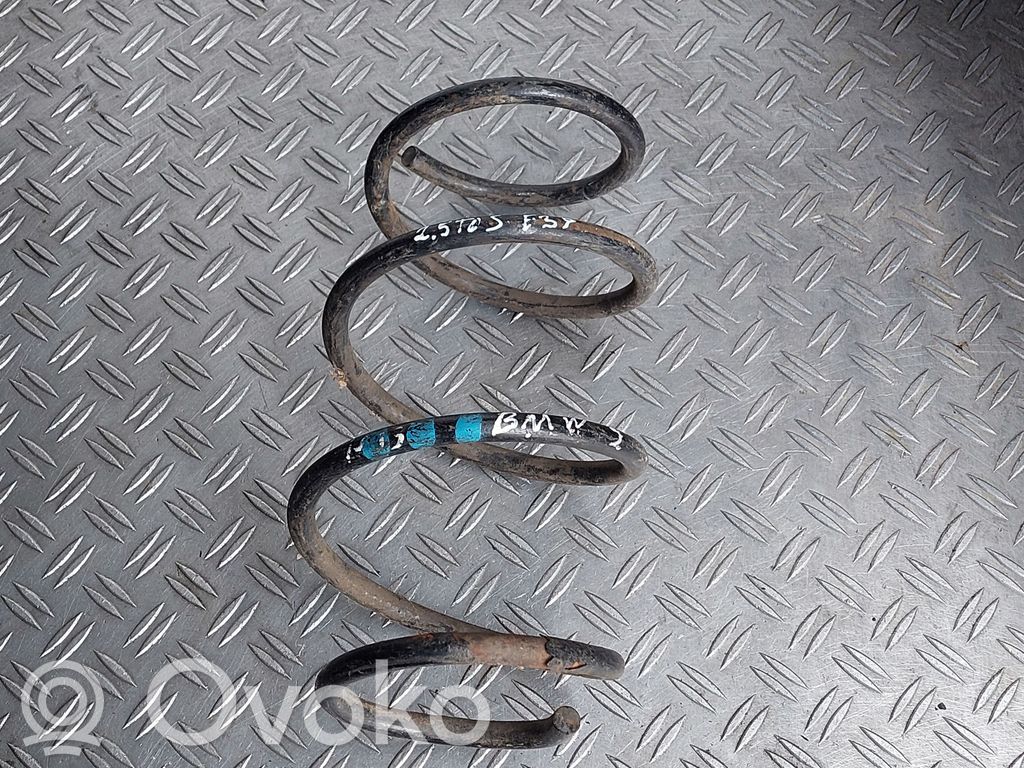 Front coil spring