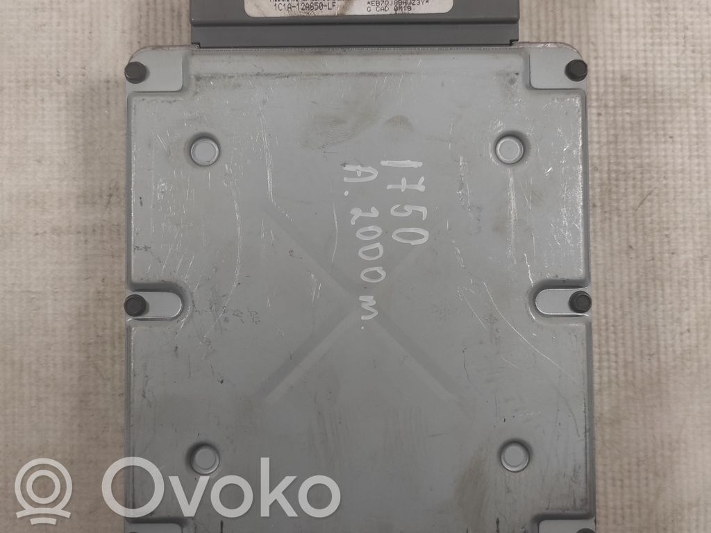 Ford Transit Engine control unit/module ECU 