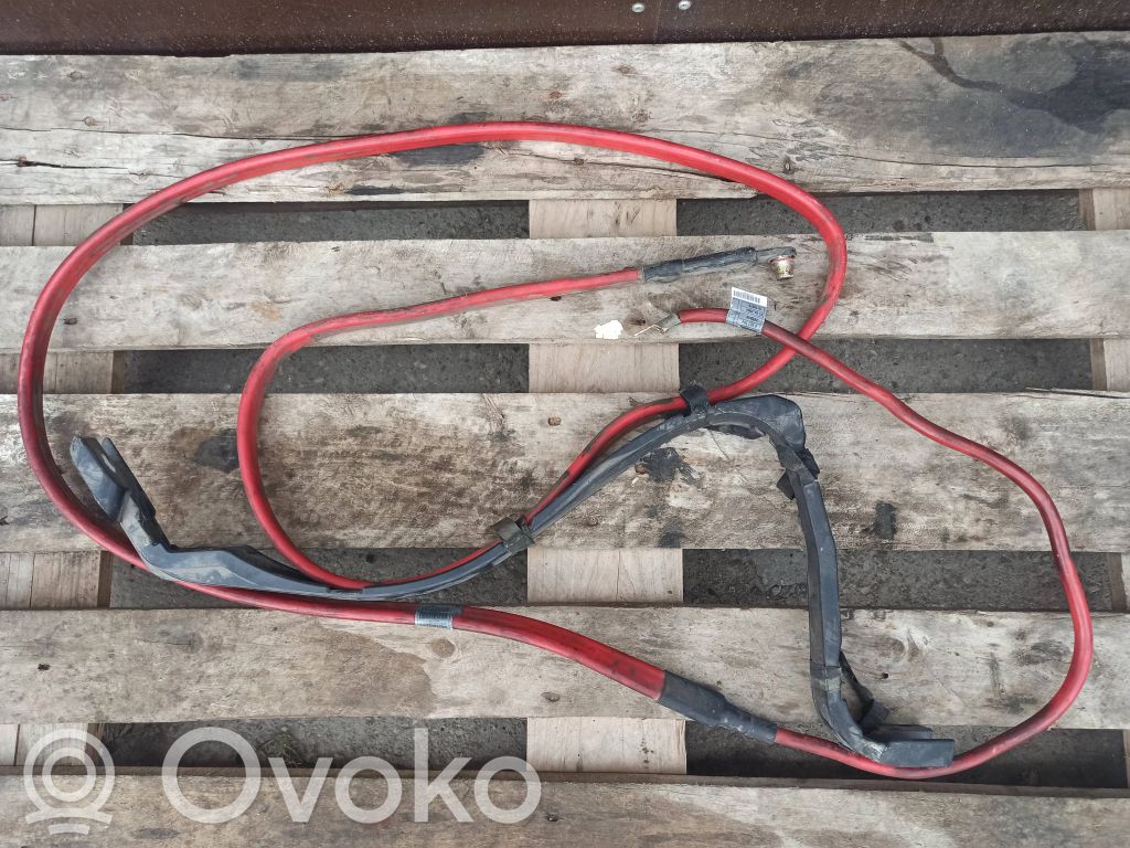 Positive cable (battery)   6927704,5118975,EE587R