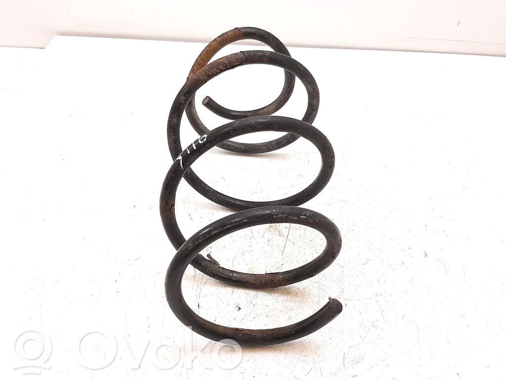 Front coil spring