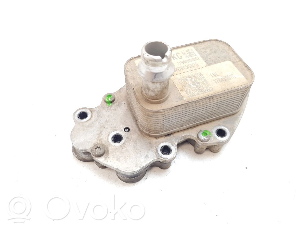 Opel Insignia B Oil filter mounting bracket 