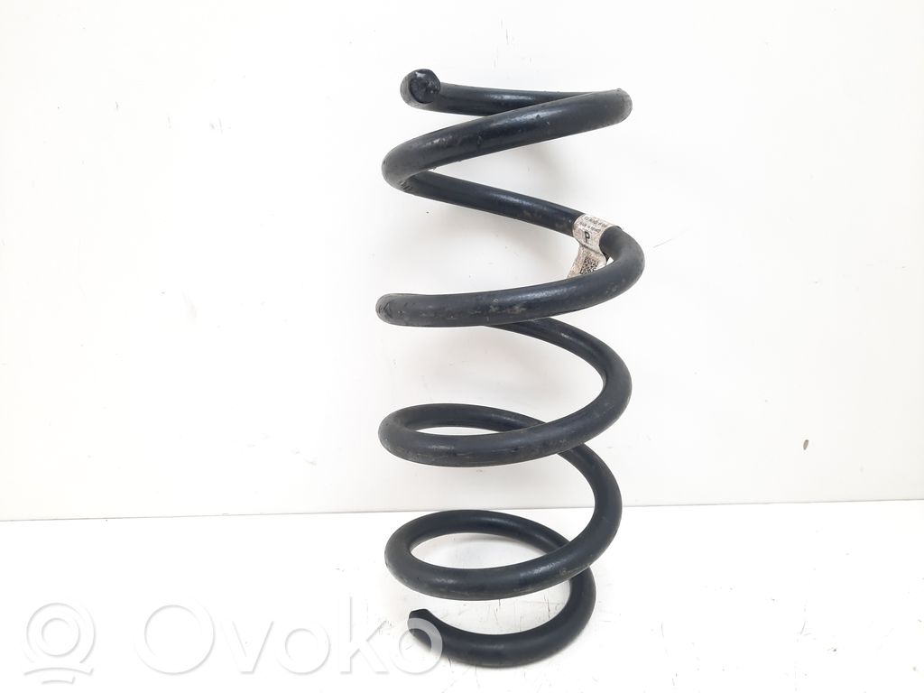 Tesla Model 3 Rear coil spring 
