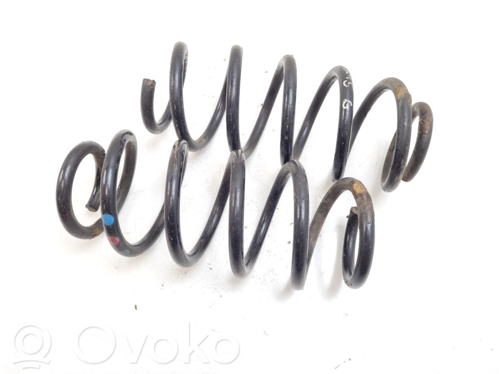 Rear coil spring