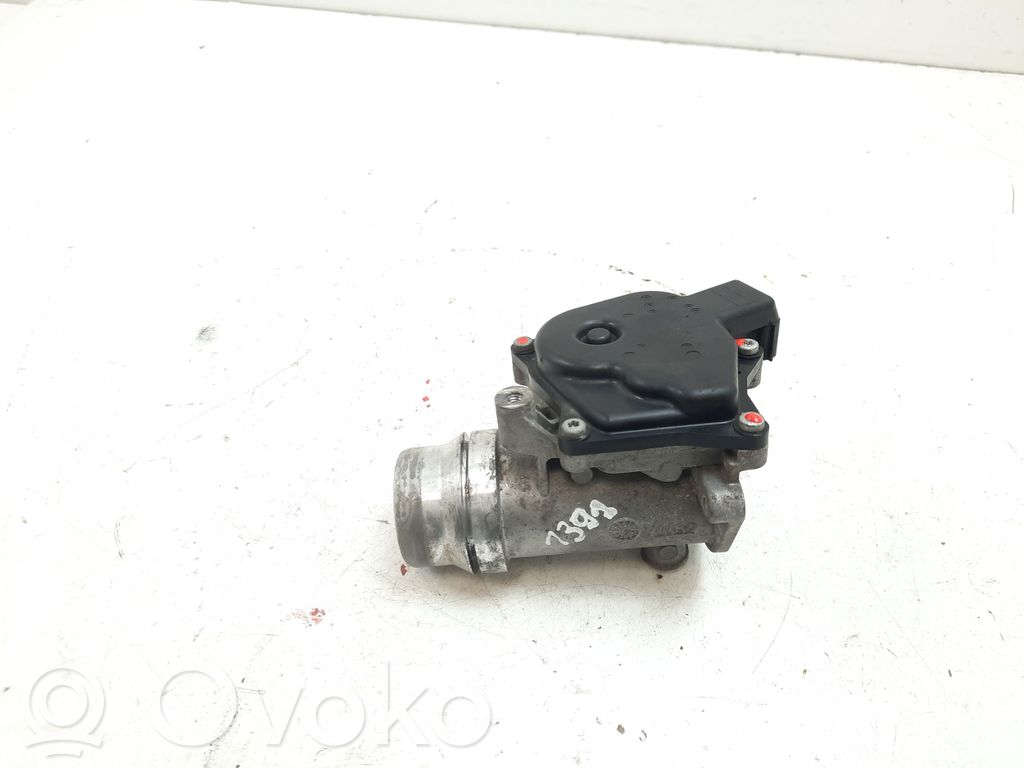 Drosele   161A09794R