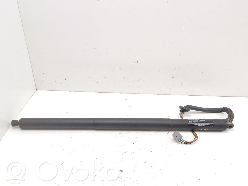 Tailgate/trunk strut/damper   600661000B