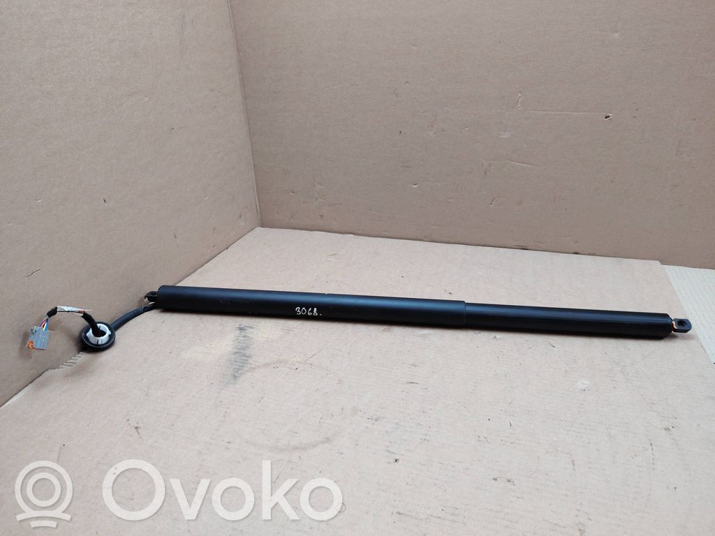 Ford Mustang Mach-E Tailgate/trunk strut/damper 
