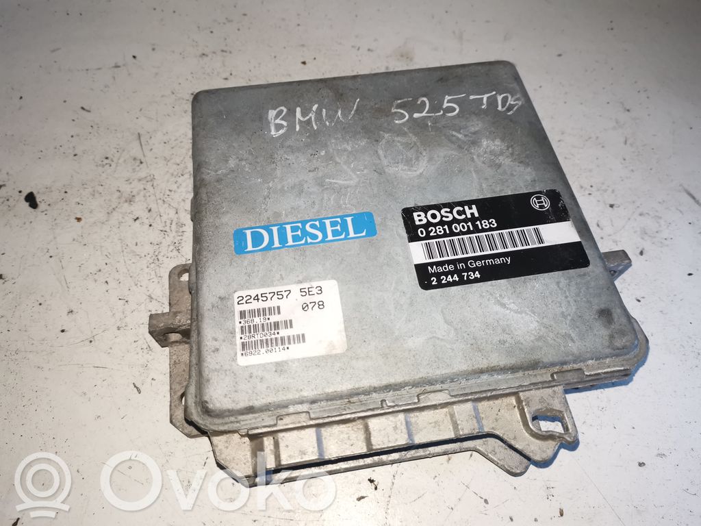 BMW 5 E34 Engine control unit/module 