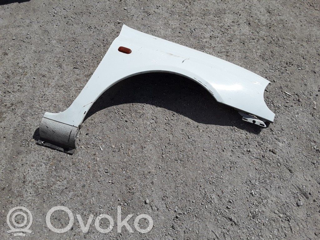 Renault Clio II Guardabarro 