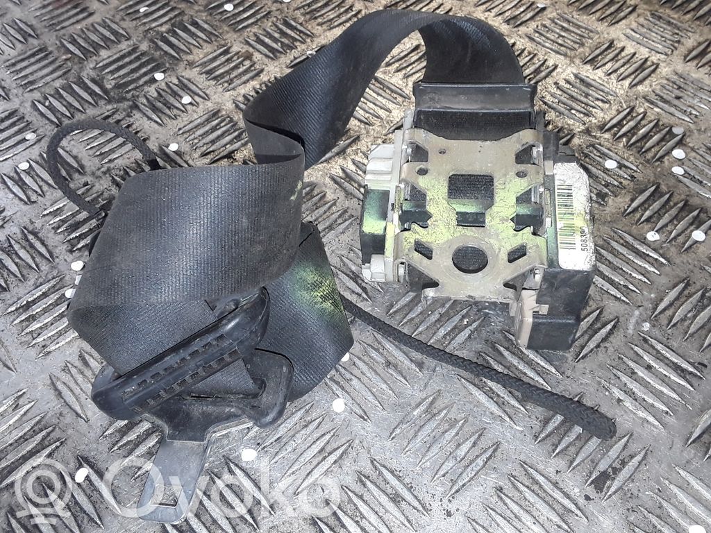 Cinturón delantero   33008567