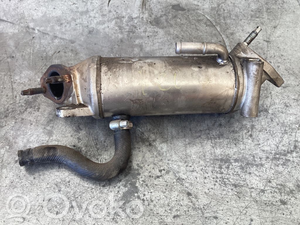Renault Vel Satis EGR aušintuvas 