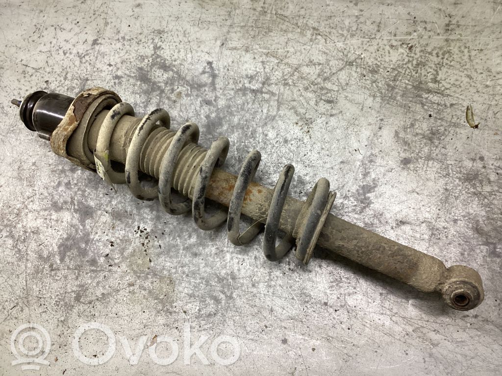 Amortyzator osi tylnej ze sprężyną   025591F243AB,05151243AR