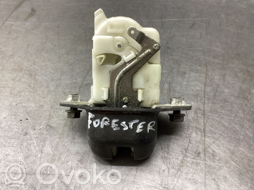 Loading door lock   8Y06