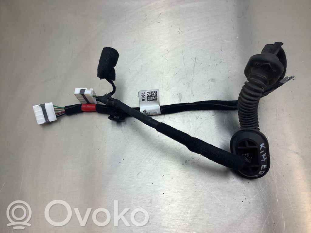 Cableado de puerta trasera   91659CV010,LY27A53U,CV010
