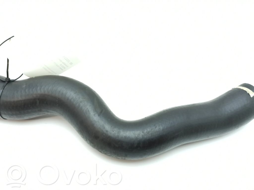 Engine coolant pipe/hose   1265271