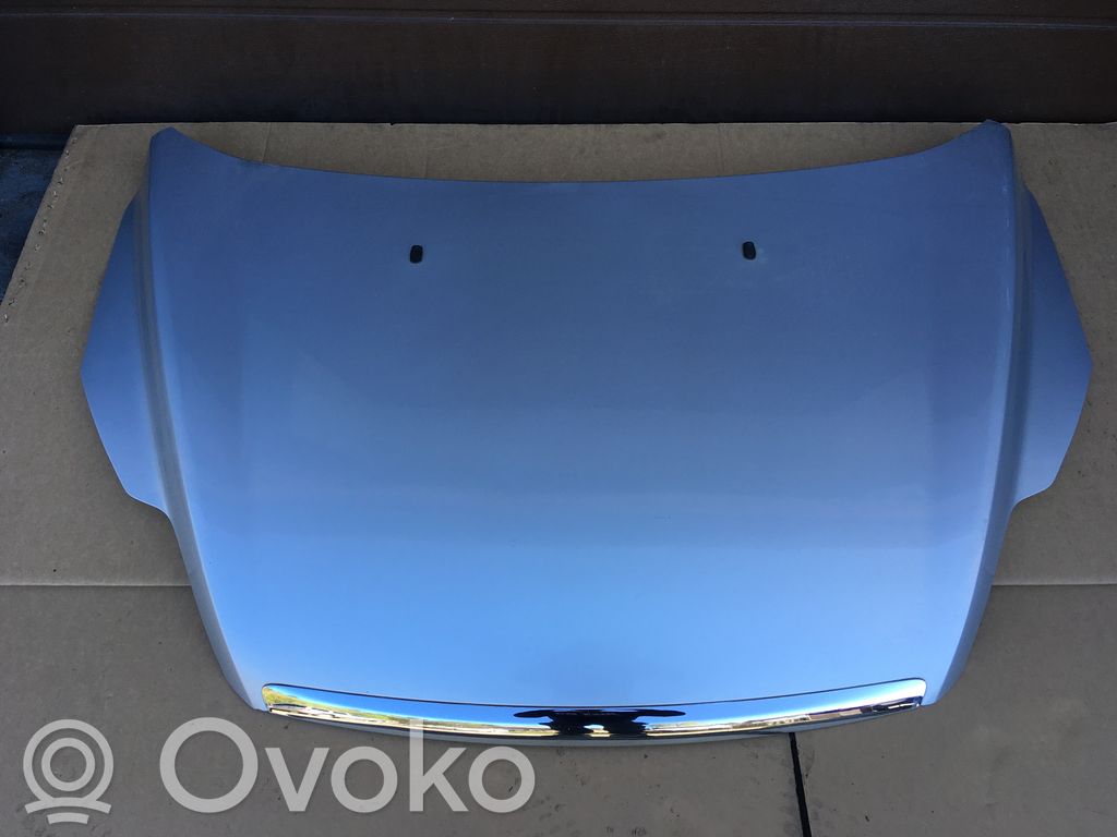 Engine bonnet/hood