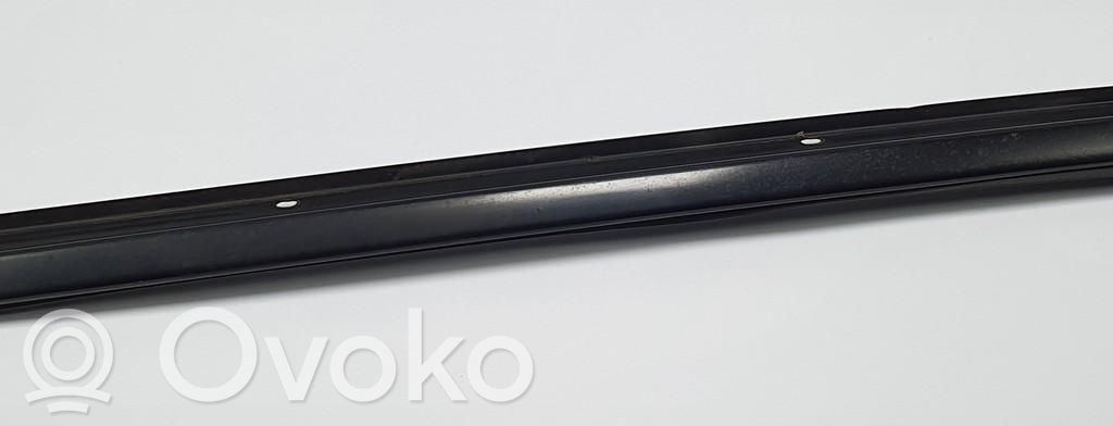 Windshield trim   STYPE