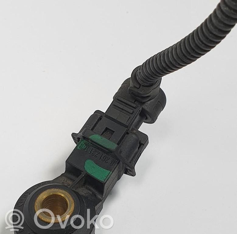 Klopfsensor   0261231148
