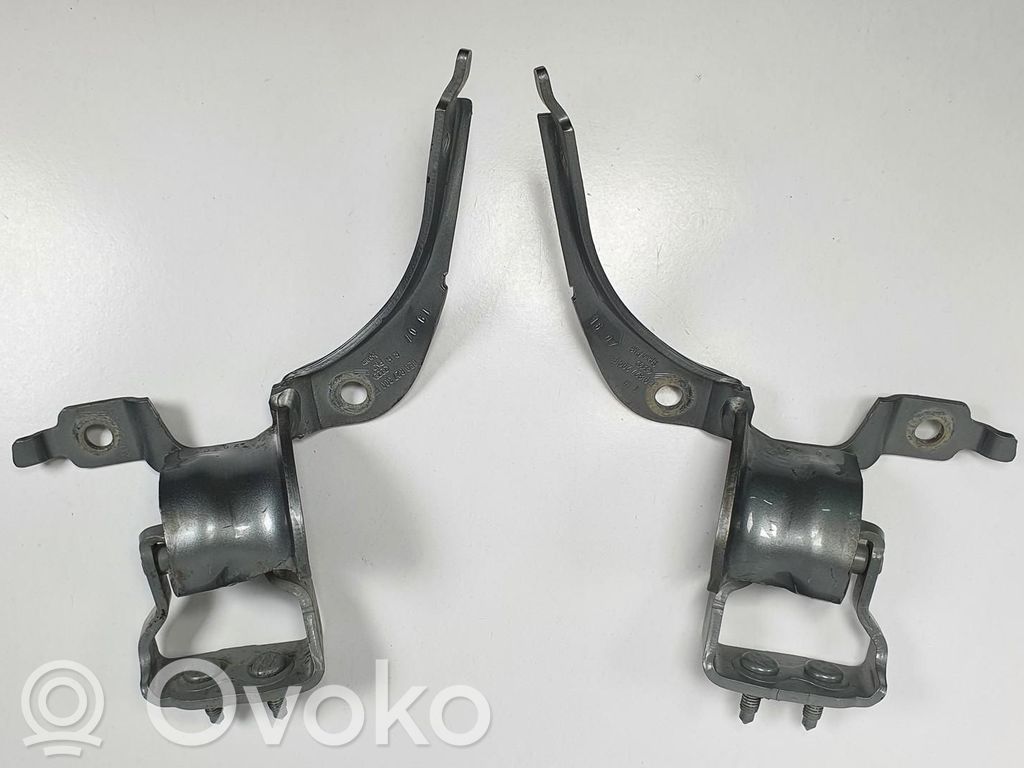 Audi A4 S4 B7 8E 8H Cerniera portellone posteriore/bagagliaio 