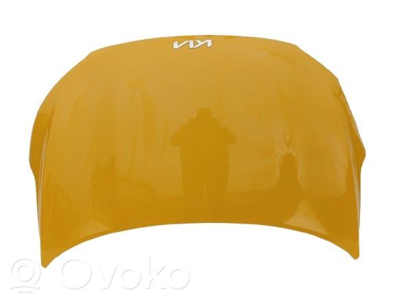Motorhaube   66400H8430