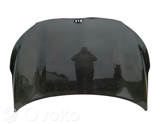 Dzinēja pārsegs (vāks)   66400H8400
