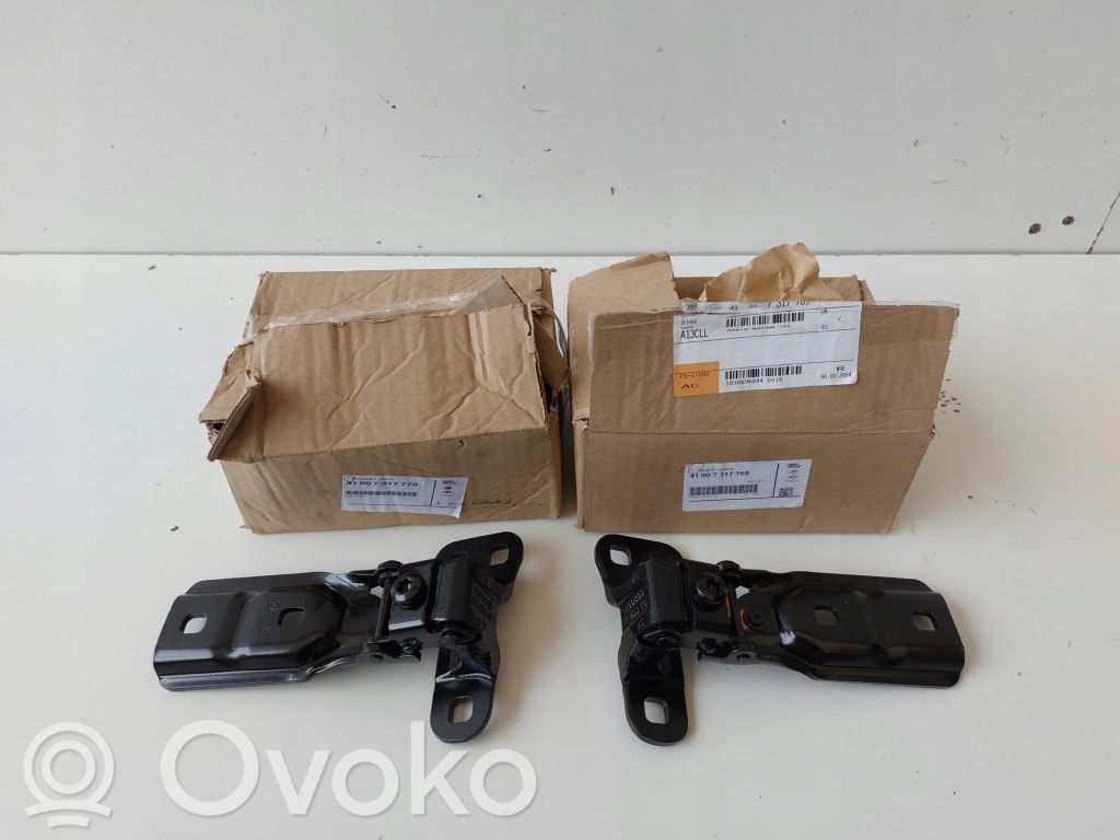 BMW 2 F45 Tailgate/trunk/boot hinge 