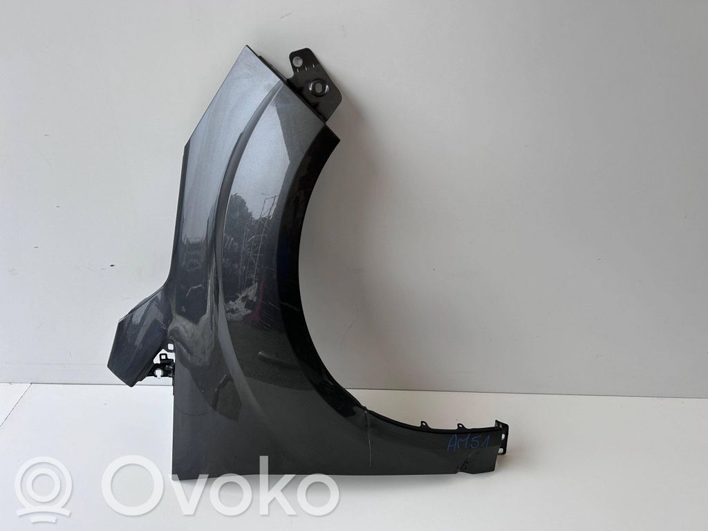 Guardabarro   AM51R16015AH