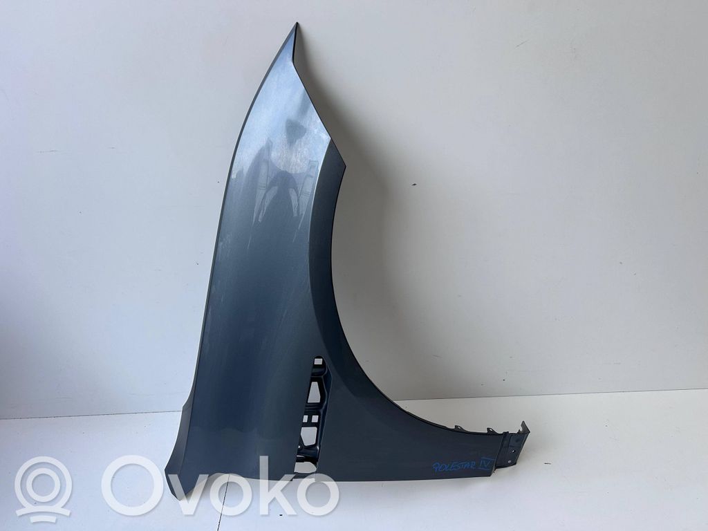 Polestar 3 Guardabarro 