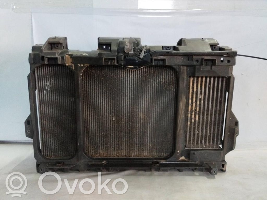 Panel lateral delantero   9685794180