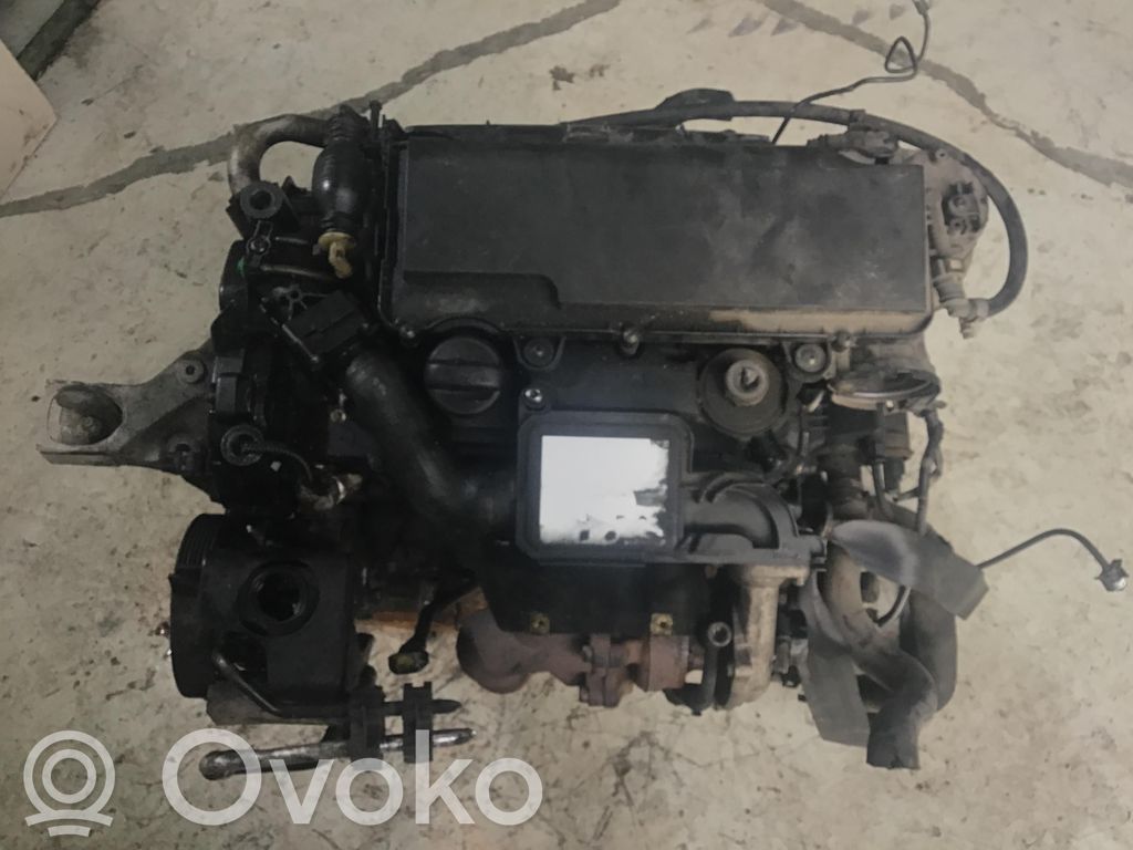 Peugeot 206 Variklis 