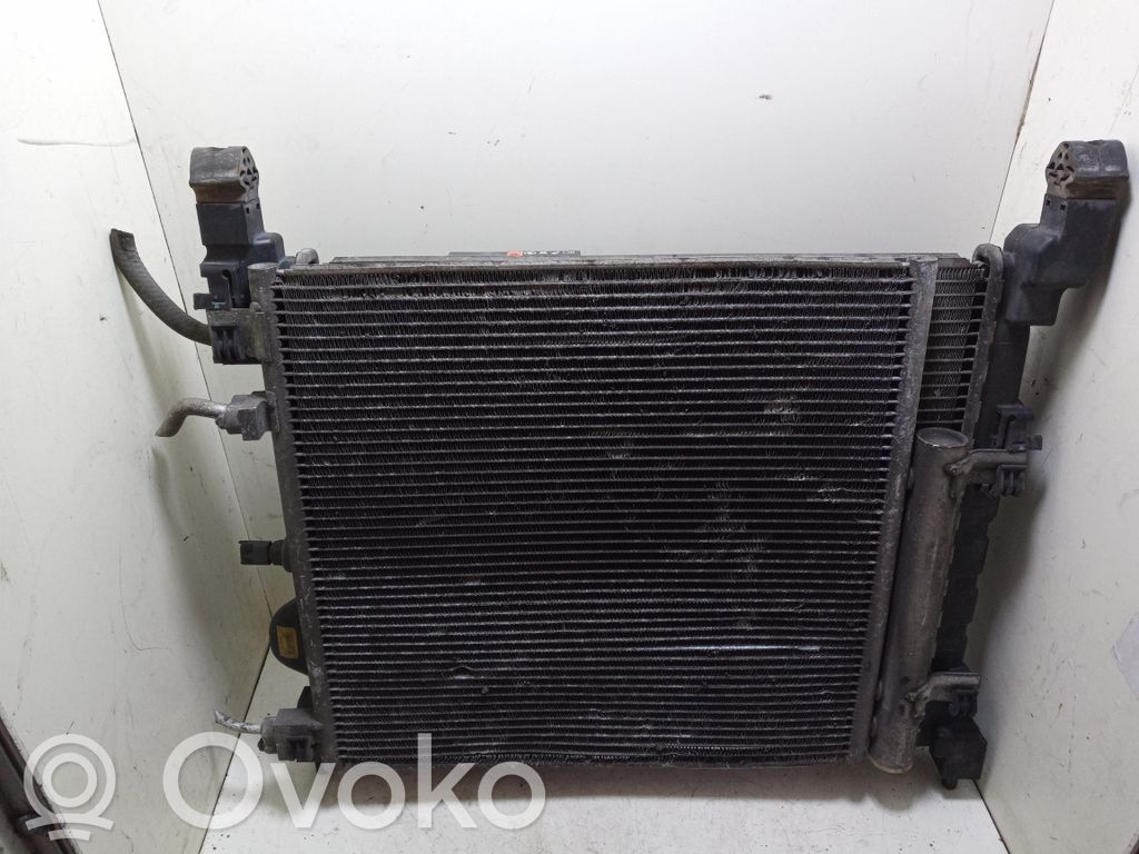 Radiator set   96676341,96676341