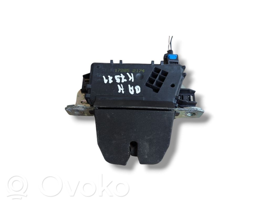 Tailgate/trunk/boot lock/catch/latch   13117285