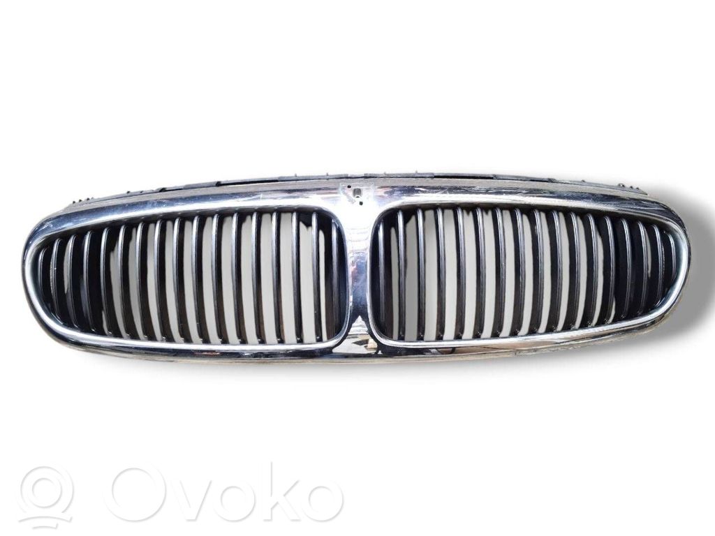 Front grill   1X435510AE