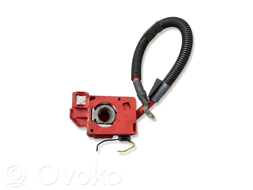 BMW X5 E70 Cavo positivo (batteria) 