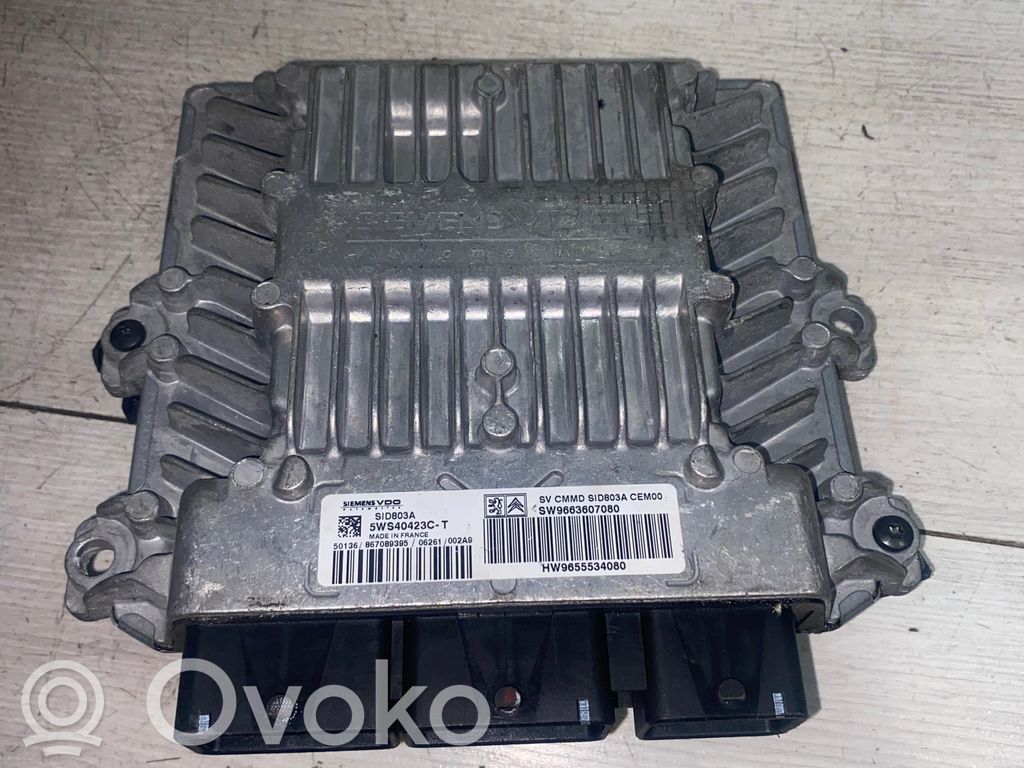 Peugeot 407 Engine control unit/module 