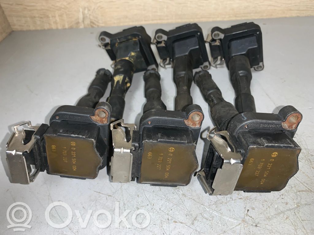 High voltage ignition coil   1703227,0221504004,12131703228,12131703825,12131748017,12131748018,12137599219,12139067830,1748017,1748018,7599219,LR022494,NEC101000L