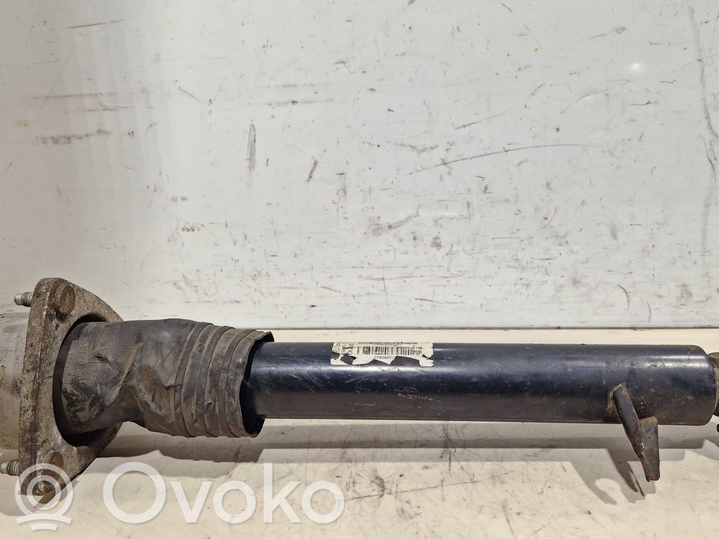 BMW X5 E70 Rear shock absorber/damper 