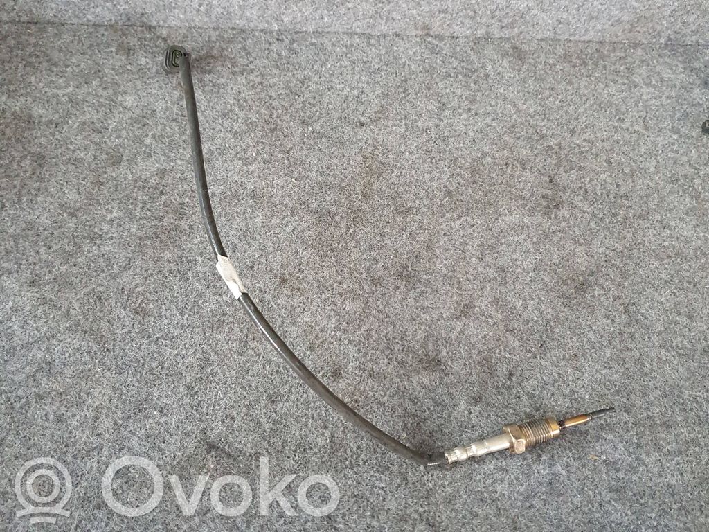 BMW 4 F32 F33 Exhaust gas temperature sensor 