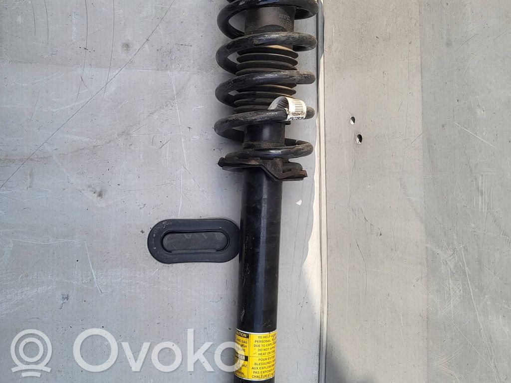 Tesla Model S Front shock absorber/damper 