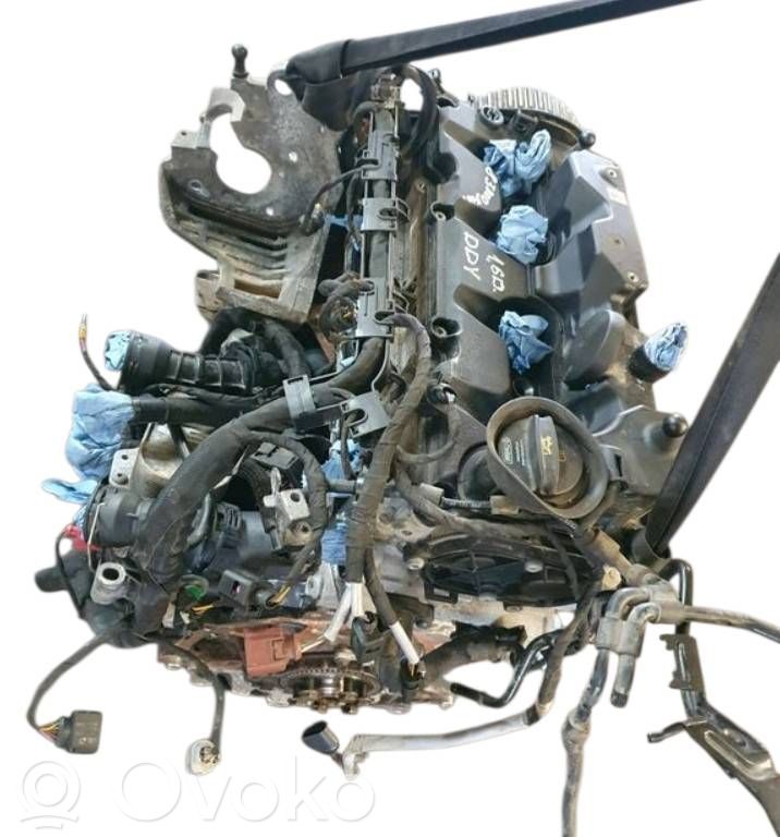 Motor   DDY,DDYA,DDY71686