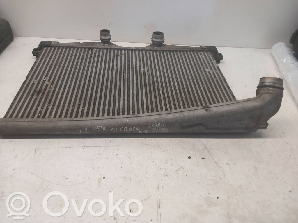 Citroen C5 Aušinimo skysčio radiatorius 