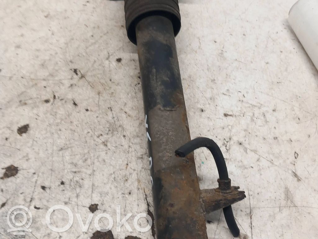 BMW X5 E70 Rear shock absorber/damper 