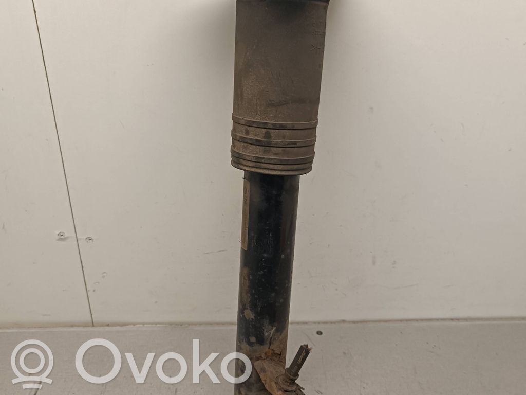 BMW X5 E70 Stoßdämpfer hinten 