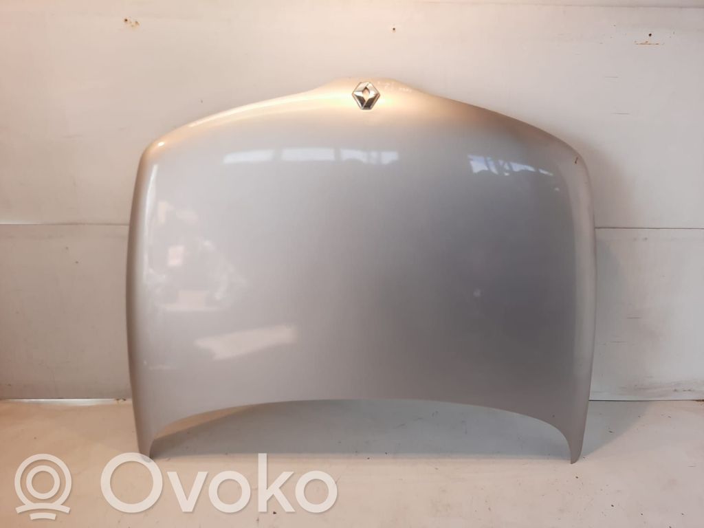 Engine bonnet/hood